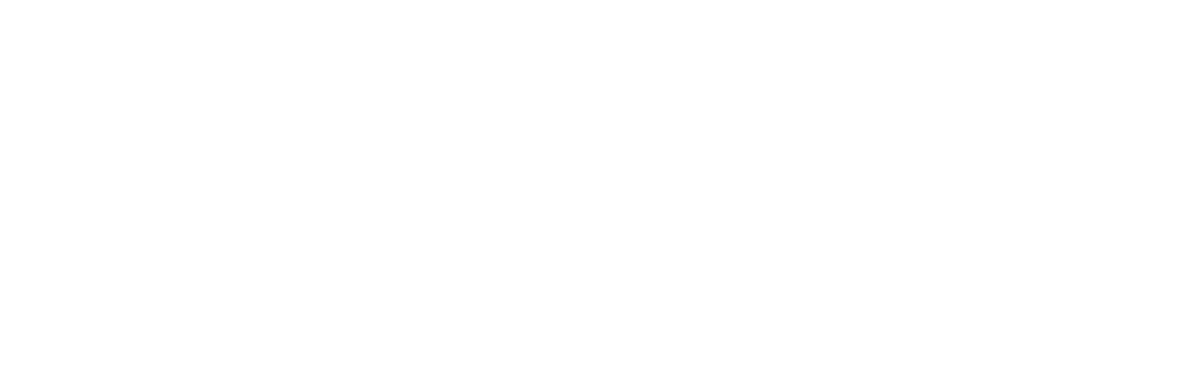 Logo-Dicolor-Blanco